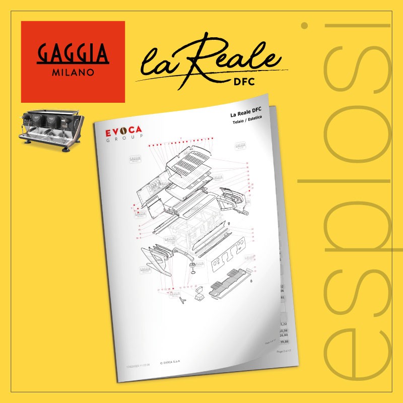 PDF Esplosi Gaggia tradizionali La Reale DFC