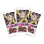 FRUTTI DI BOSCO CROSTATINA 40 gr Giovanni Cova & C, confezione da 30 pz
