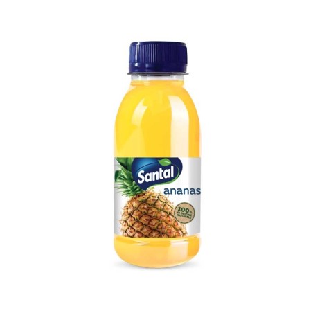Santal PET 250 Ananas, confezione da 24 pz