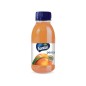 PESCA Santal PET 250, confezione da 12 pz PESCA Santal PET 250, confezione da 12 pz