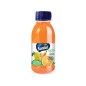 ACE SENZA ZUCCHERI AGGIUNTI Santal PET 250 , confezione da 6 pz ACE SENZA ZUCCHERI AGGIUNTI Santal PET 250 , confezione da 6 pz
